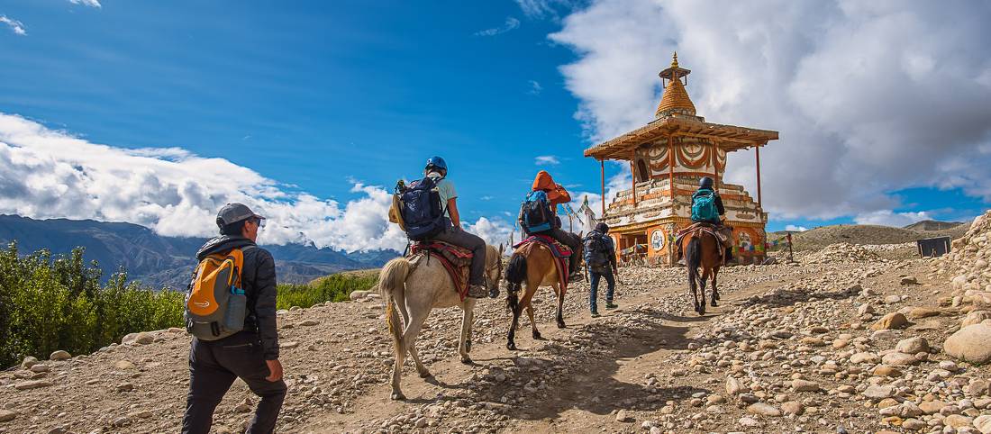 mustang trek